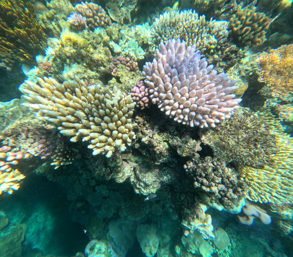 Cairns & Great Barrier Reef&nbsp;(AU)