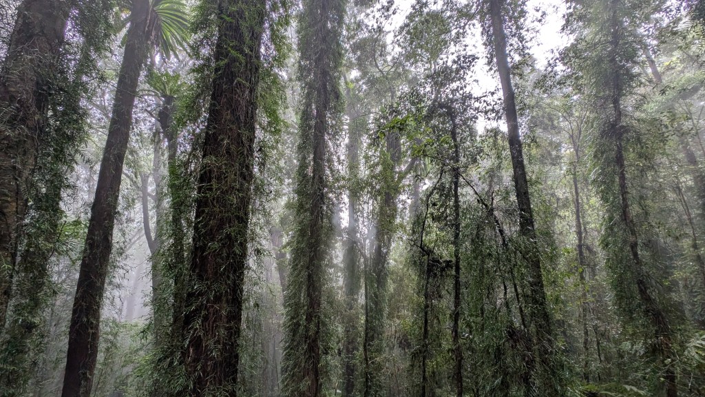 Nelson Bay, Nambucca Heads & Yamba&nbsp;(AU)