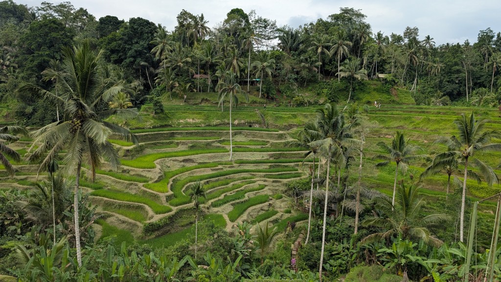 Ubud (IDN)